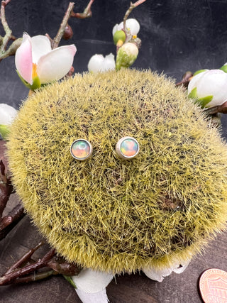 Limbus Umbra Opal Studs