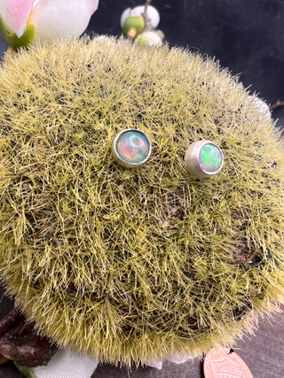 Limbus Umbra Opal Studs