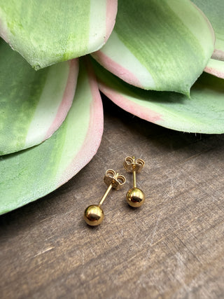 Gold Fill Ball Studs