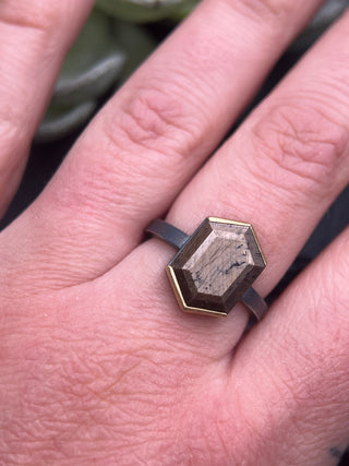 Bronze Sapphire Shield Ring
