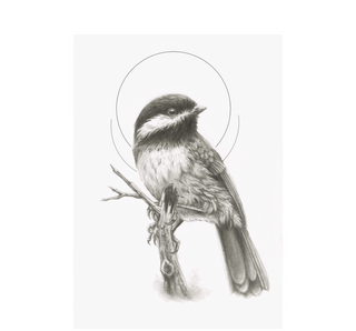 The Chickadee