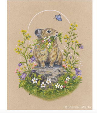 Little Alpine Gardener