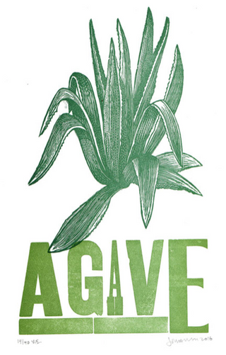 Agave (Print)